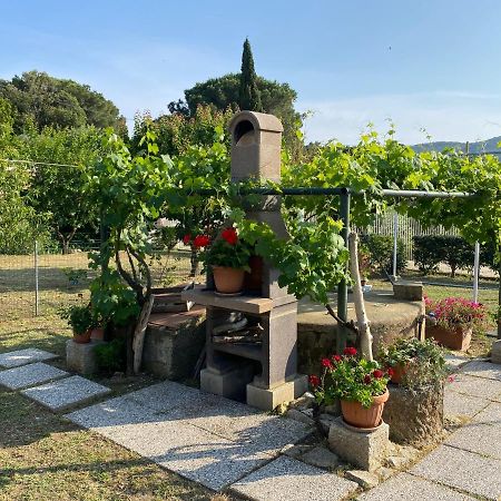 Villetta Di Rosa Procchio  Extérieur photo